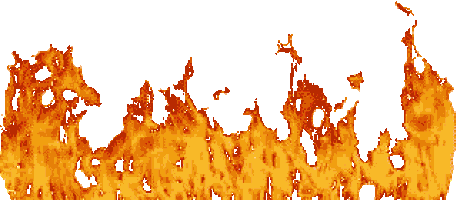 GIF 1